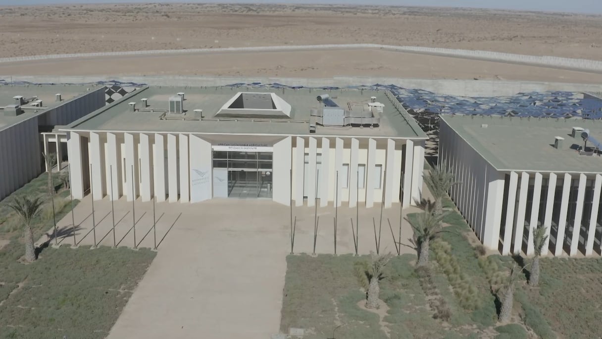 El Instituto Africano de Investigaciones Agrícolas de Laayoune - Marruecos